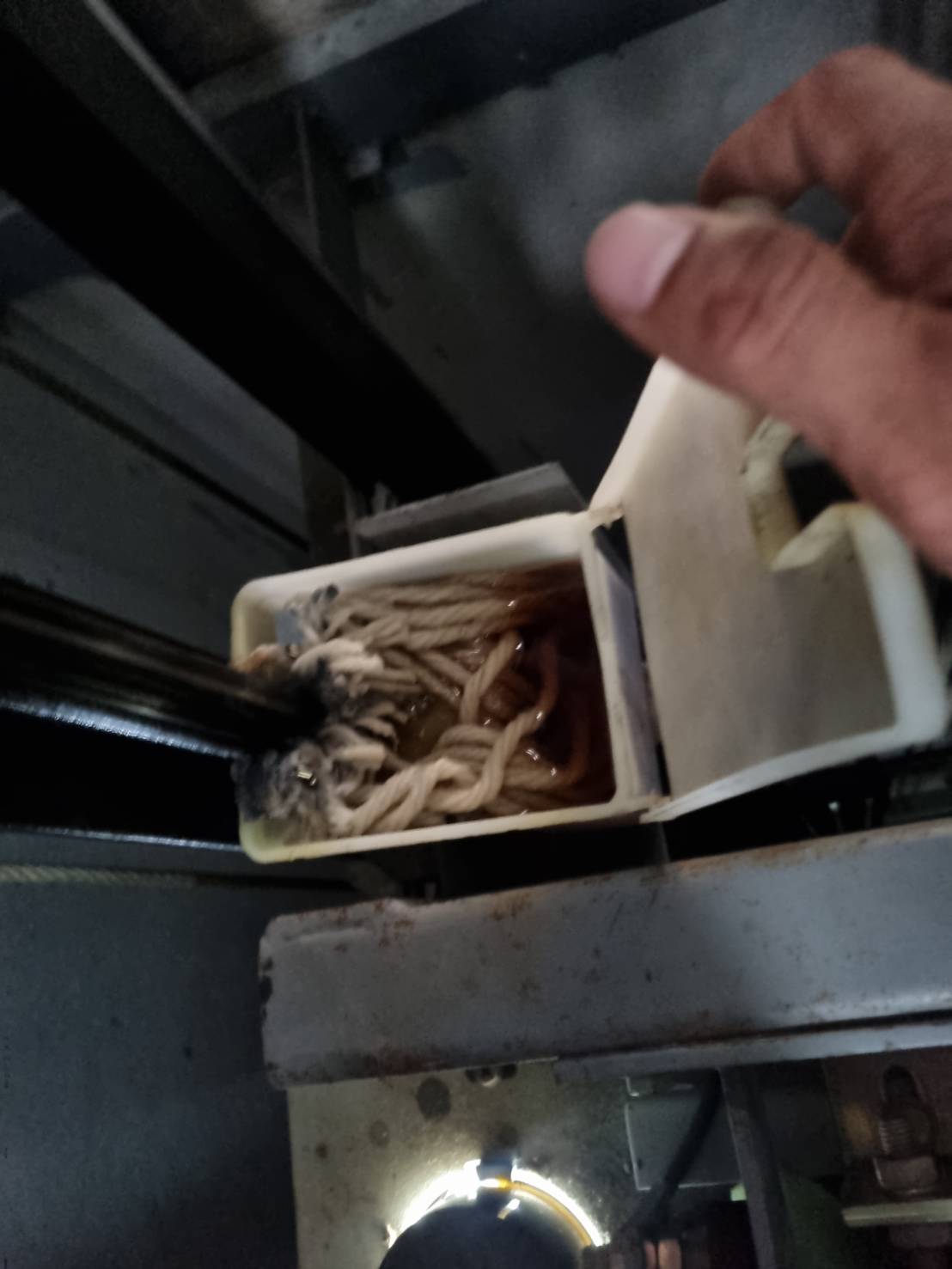 ELEVATOR SERVICE